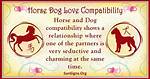 Horse and Dog Compatibility: a Dreamy Connection ·