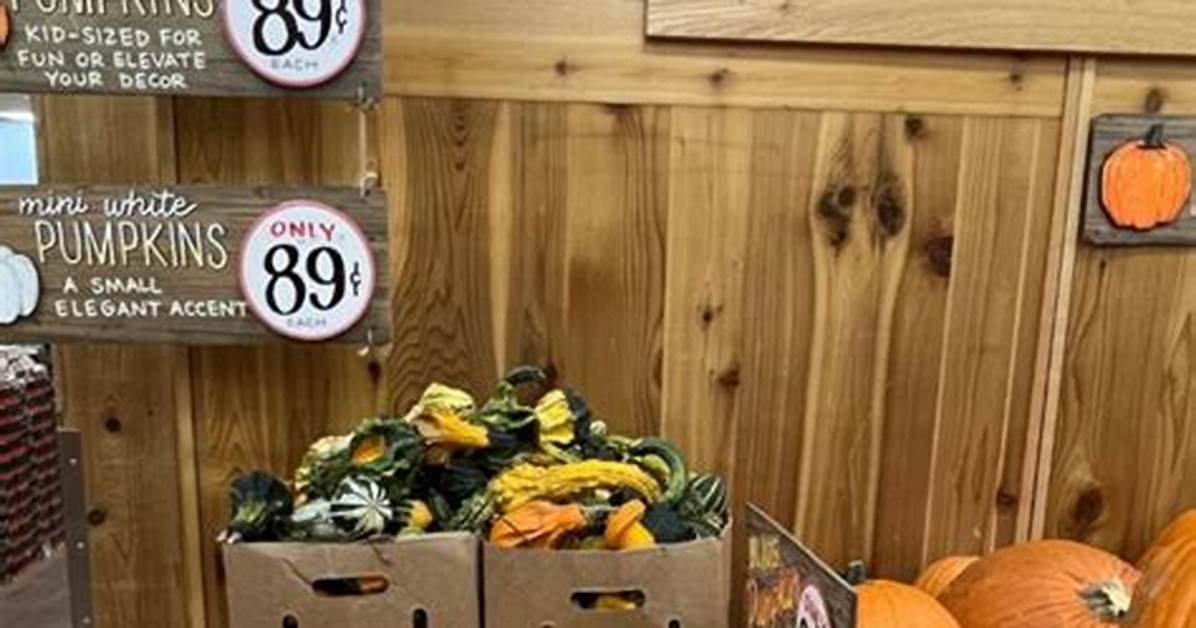 How Much Are Pumpkins at Trader Joes?