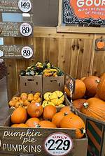 How Much Are Pumpkins at Trader Joes?