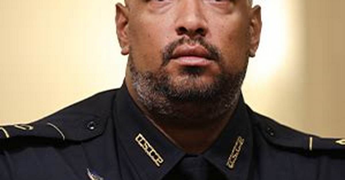How Tall Is Officer Harry Dunn? the Man Who Defended the Capitol Attack