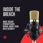 Inside the Raven Celine Data Breach