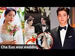 Is Cha Eun Woo Married? Decoding the Rumors and Truths