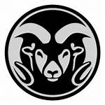 Is Csu Rams Hc Black or White?