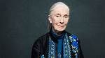 Jane Goodall Wikipedia, Biography, Age, Height, Husband, Net Worth, Children ·