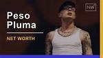 Jazzvib | Peso Pluma Net Worth