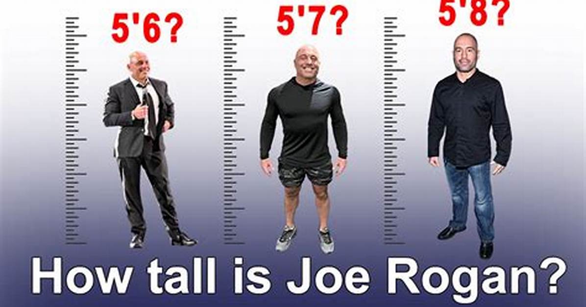 Joe Rogan: Exploring His Weight and Height - a Comprehensive Guide