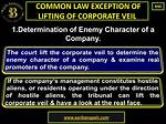 Lifting the Veil on Corporate Misconduct