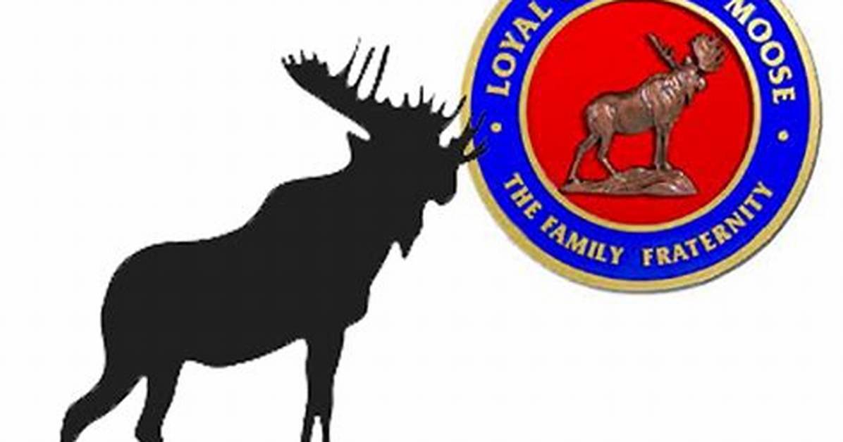 Loyal Order of Moose Danbury Ct