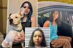 Mississippi Woman Arrested for Heinous Dog Abuse: Shocking Truth Revealed