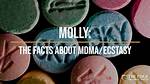 Molly Mdma: the Allure and Reality of the Popular Party Drug