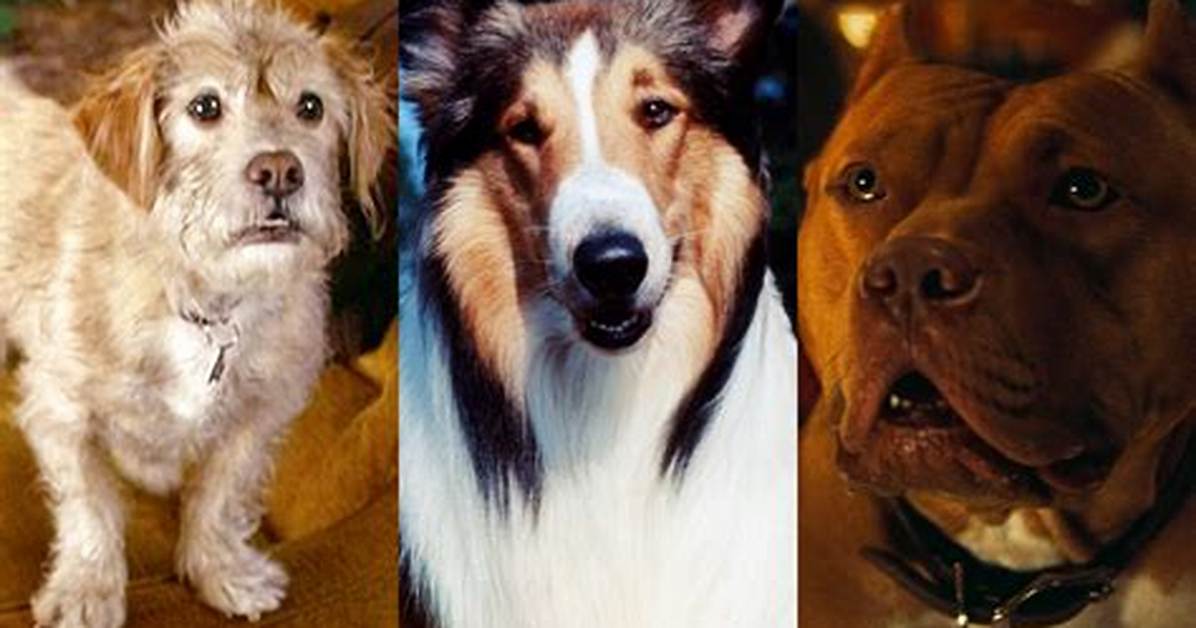 Movie Pets; Famous Dogs & Cats from Tv & Film ·