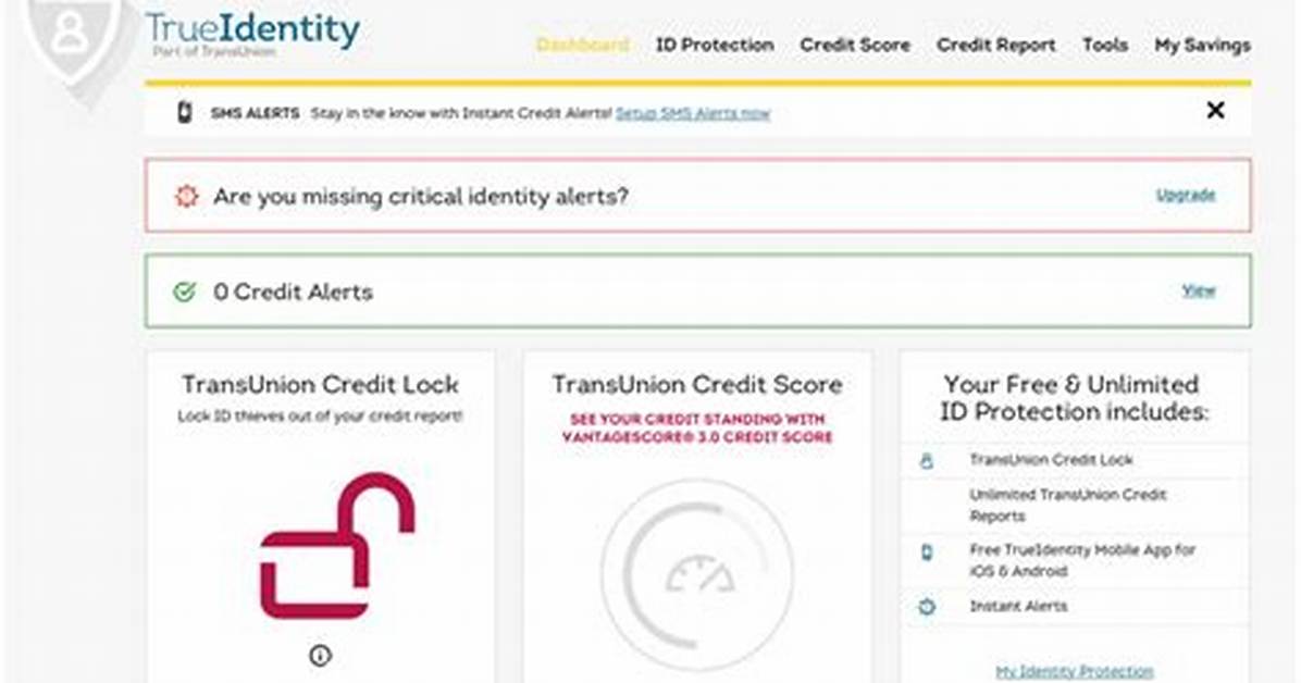Mytrueidentity Scam: Unveiling the Truth Behind the Controversy