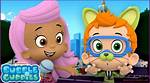 Nikki Cat: a Purrfect Blend of Charm and Cuteness
