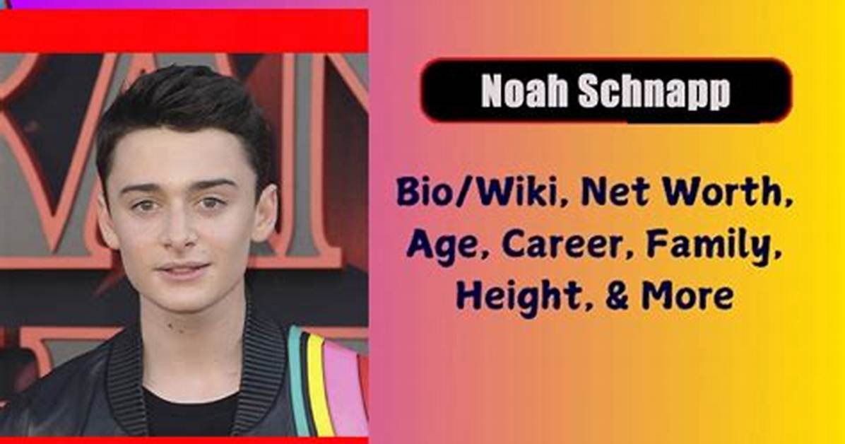 Noah Schnapp Biography, Age, Height, Wife, Net Worth, Family