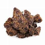 Overview of the Tropicana Cookies Cannabis Strain