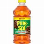 Pine Sol for Flies: a Natural Solution to Keep Your Home Fly-Free