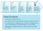 Pioneer Woman Cancer: a Journey of Resilience and Hope