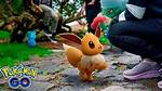 Pokmon Go Players Advise Against Using Eevee Name Trick for Level 41 Tasks |
