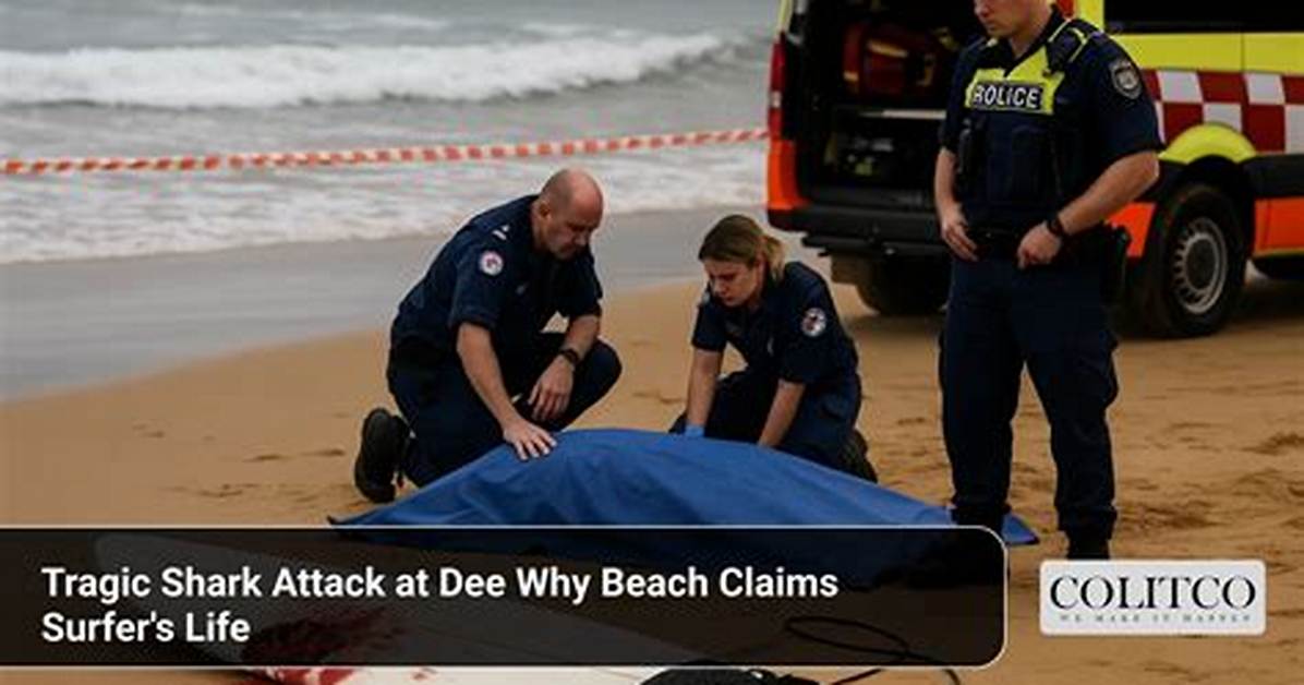 Shark Attack Fatal for Washington Man