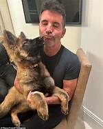 Simon Cowell's New Dog: a Paw-Some Addition to His Life