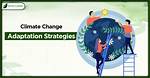 Strategy, Adaptation, and Social Dynamics