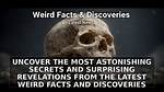 Surprising Revelations and Fascinating Facts