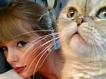 Taylor Swift's Feline Fortune: Unveiling the Net Worth of Her Beloved Cats