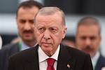 Tayyip Erdogan's Wealth: a Deep Dive into His Net Worth