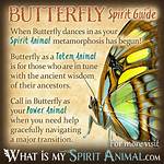 The Butterfly Spirit Animal | Blognews