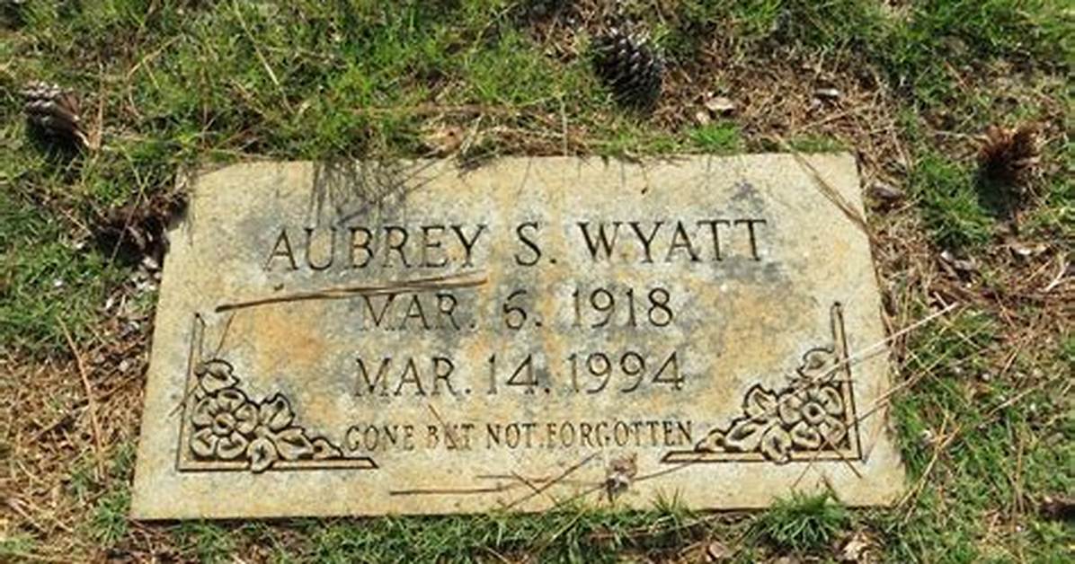 The Comprehensive Guide to Aubrey Wyatt's Crime and Punishment
