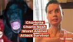 The Tragic Story of Charla Nash: the Woman Who Survived a Chimp Attack