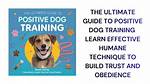 The Ultimate Guide to Being a Dog Daddy