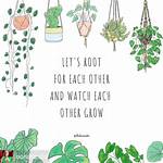 The Ultimate Guide to Motivational Plant Quotes: Inspiration from Nature