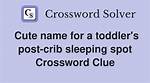 Toddler's Post-Crib Sleeping Spot Crossword Clue and Answer