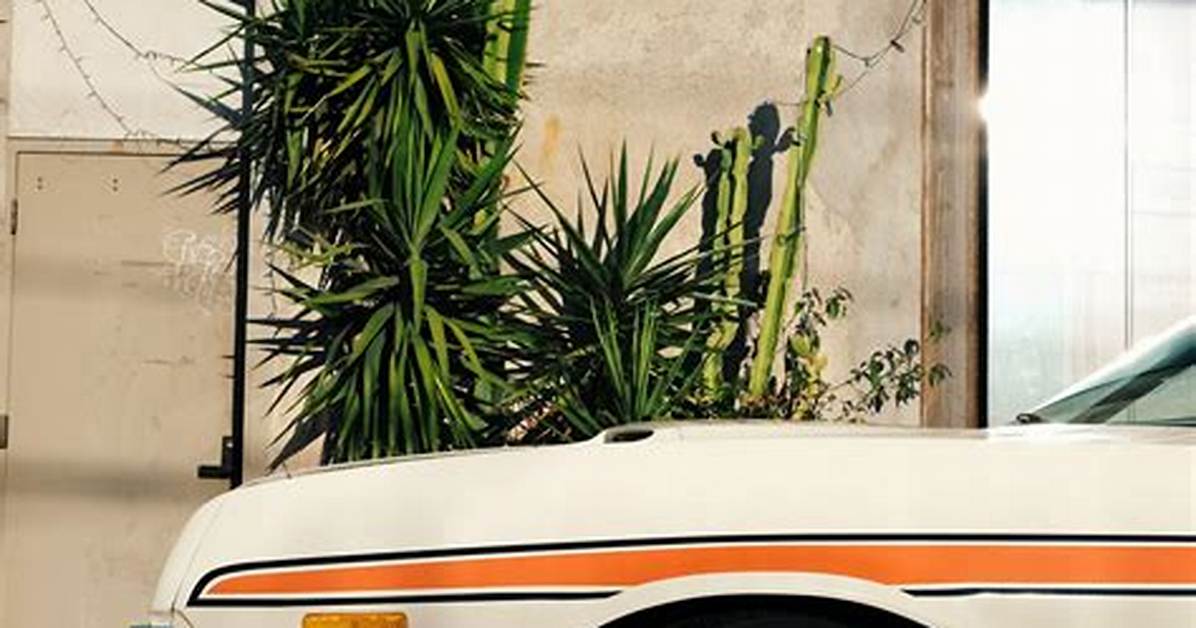 Totally Rad: a Deep Dive into Slang from the 1980S