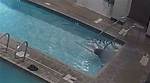 Tragic Incident: the Salma Pool Accident