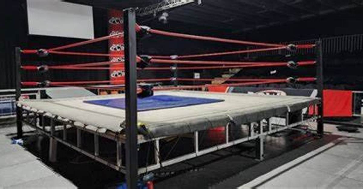 Uncovering the Pillars of a Wrestling Dynasty