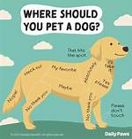 Understanding Elmo: the Dog You Shouldn't Rile Up
