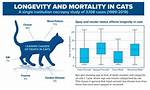 Understanding Tails Age: a Deep Dive into Feline Longevity
