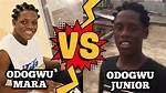 Understanding the Demise of Odogwu Mara: Causes and Aftermath