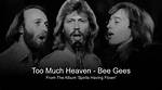Understanding the Enigma of Bee Gees' "Nobody Gets"