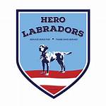 Unleash the Heroic Potential of Hero Labradors: Uncover Surprising Insights