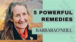 Unlocking the Secrets of Barbara O'neill Black Seed Oil