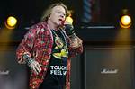 Unraveling Axl Rose's Romantic Life: Did Axl Rose Have a Wife?