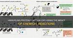 Unraveling the Impact and Exploring User Reactions