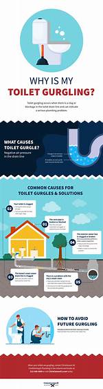 Unraveling the Mystery of a Clogged Toilet: Causes, Solutions, and Prevention