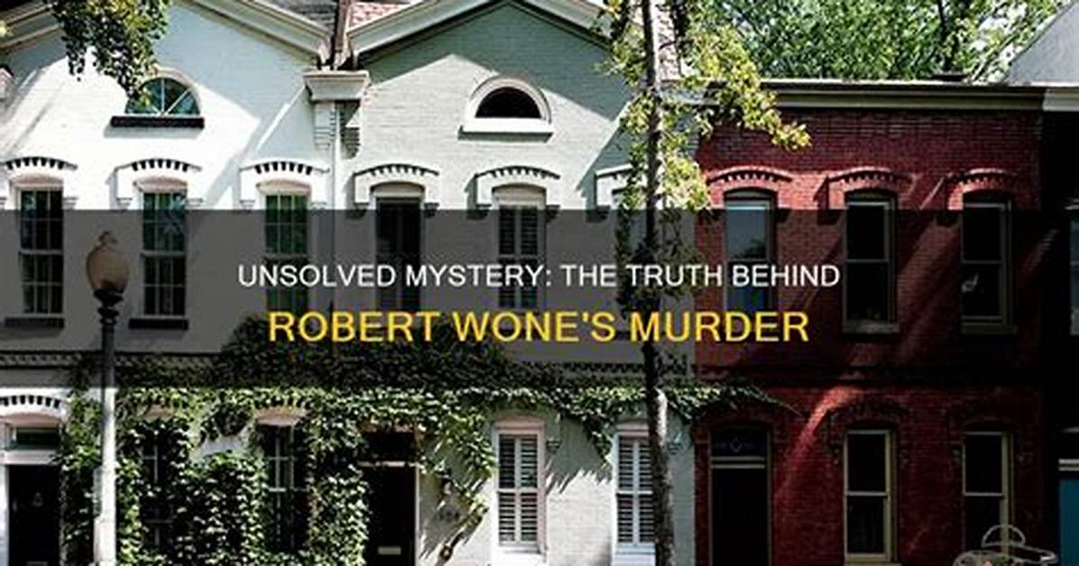 Unraveling the Mystery: the Robert Wone Murder Case