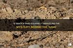 Unraveling the Mystery: Where Is Sandy Bentley Now?