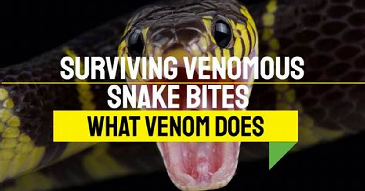 Unraveling the Mystique of the Snake Bites Guy