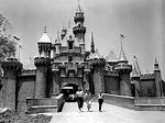 Unveiling Disneyland's History: Deaths and Safety Measures